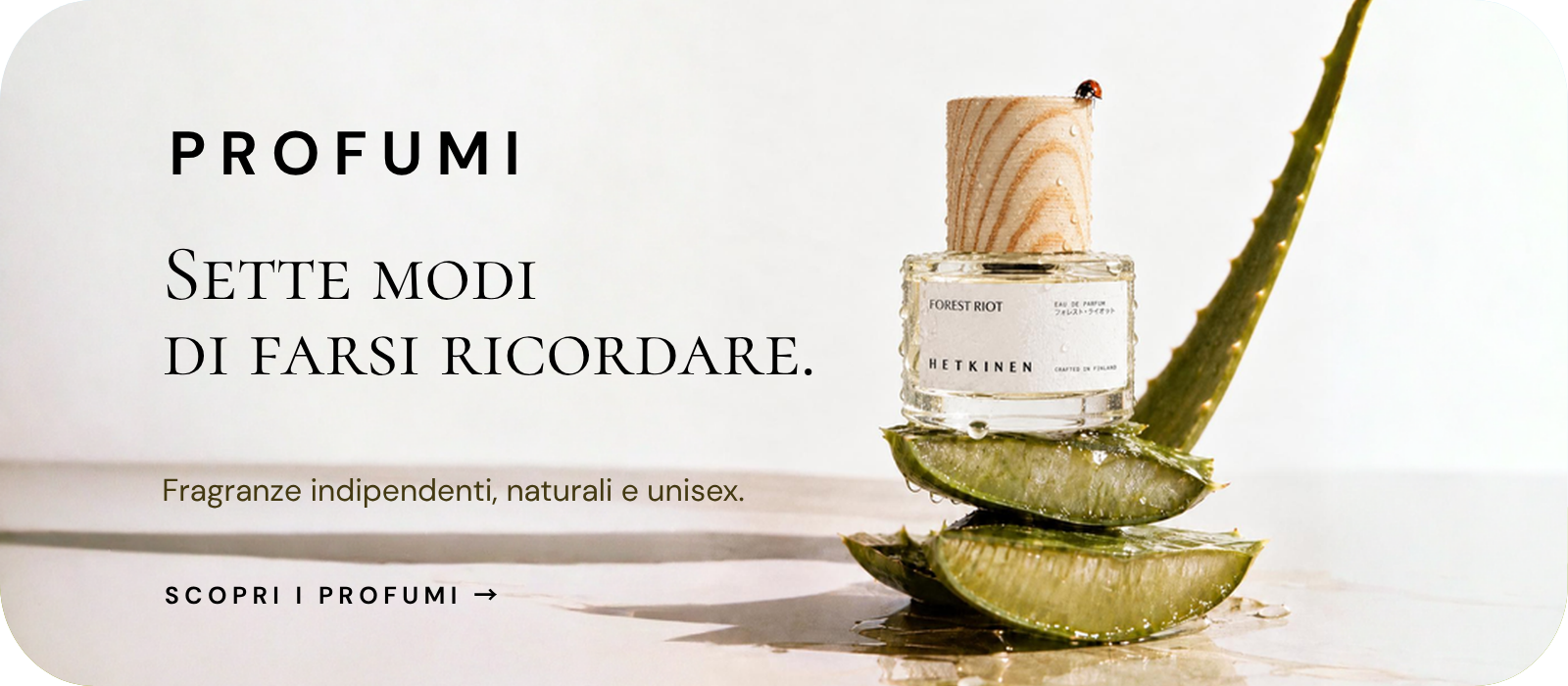 Profumi naturali e indipendenti selezionati da Groon